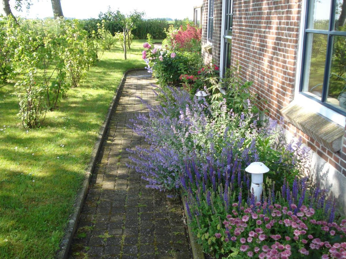 B&B Op De Vlakte Oosternijkerk Exterior foto